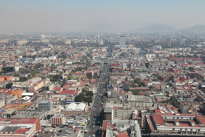 Сверху вниз - Мехико, Торонто и Лос-Анжелес, мегаполисы, предоставляющие великолепные кормовые перспективы койотам