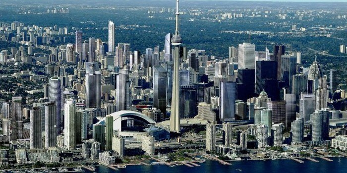 Двоюродный братец собаки и его непростая история