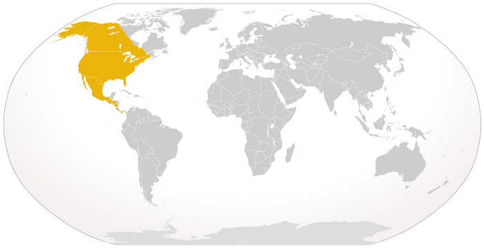 Двоюродный братец собаки и его непростая история