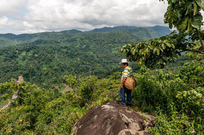В обоих этих пейзажах можно встретить койота