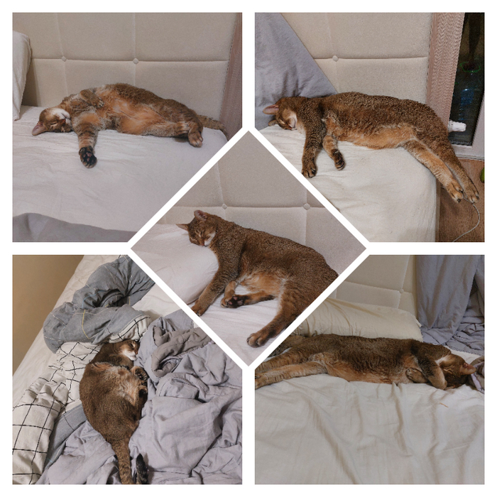 ������ ���� ����� 18 ���. � �� ������ ����� ���� ��� ��������, ����� ������-������������.