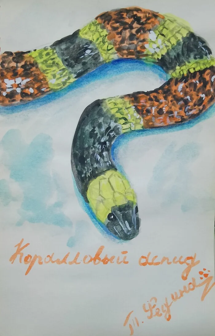 Snake art watercolor. Author Tatyana Fedina - My, Watercolor, Watercolor paper, Serpentine, Snake, Year of the Snake, green python, Black Mamba, Gabonese viper, Art, Longpost