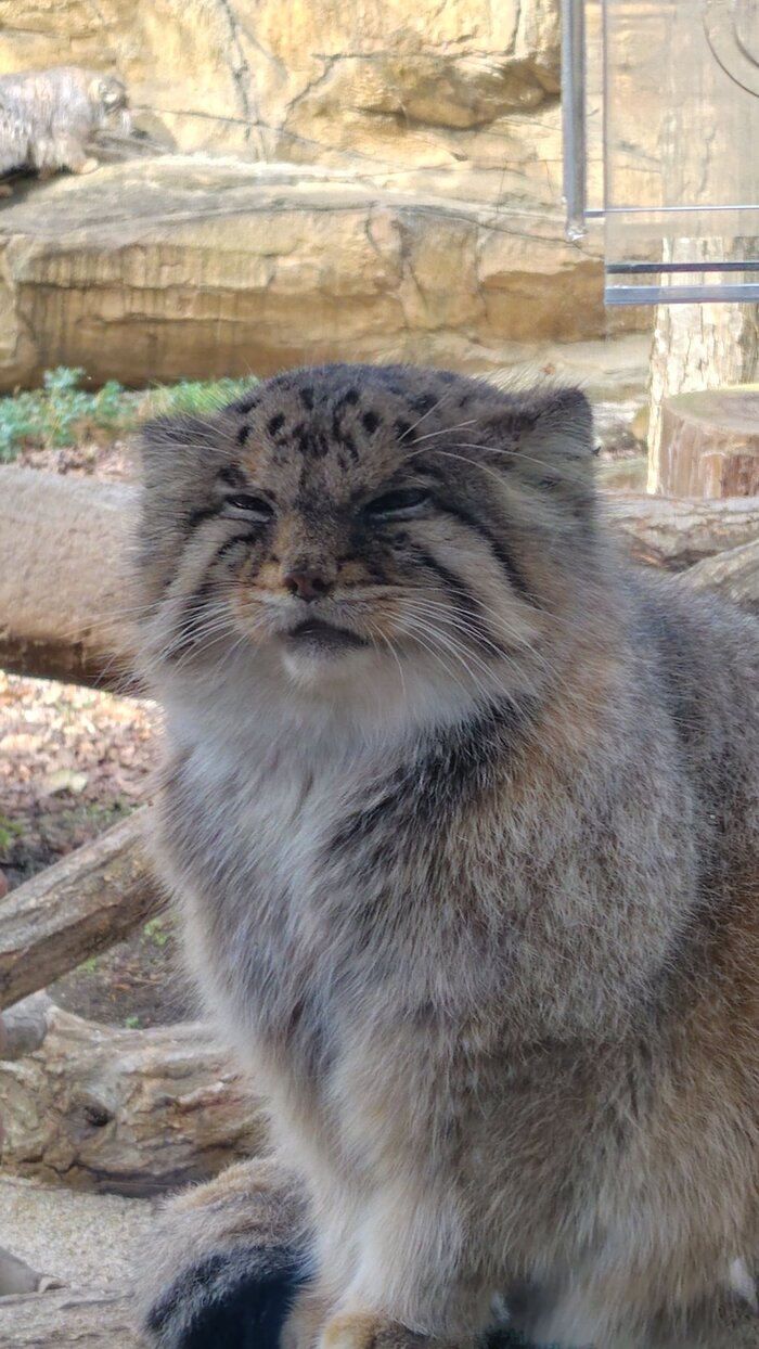 С пятничкой, друзья