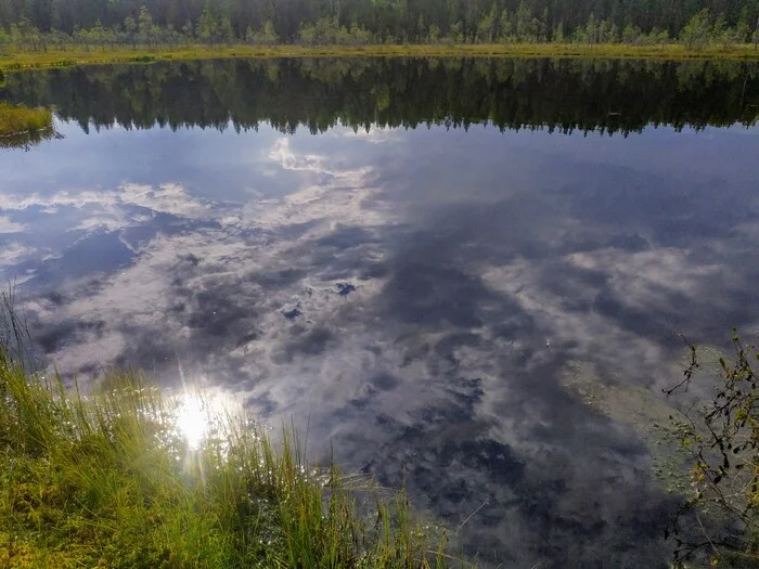 Reflection - My, The nature of Russia, Карелия, Swamp, Water, Mobile photography, Reflection