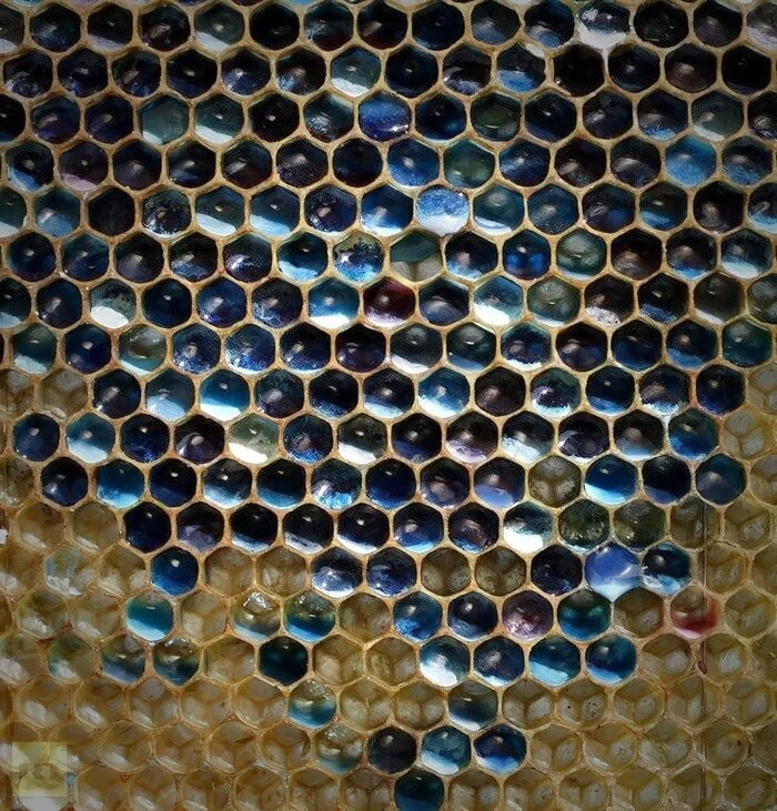 In 2012, in France, in the commune of Ribeauville, located in Alsace, beekeepers discovered unusual honey - green and blue - Crossposting, Pikabu publish bot, Honey