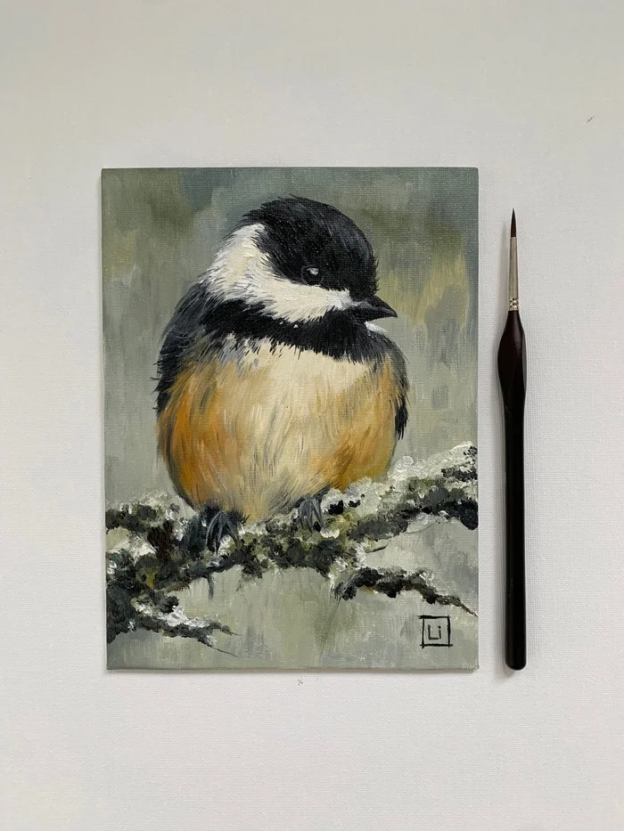 Black-capped chickadee - My, Picture with text, Oil painting, Nature, Painting, Painting, Author's painting, Canvas