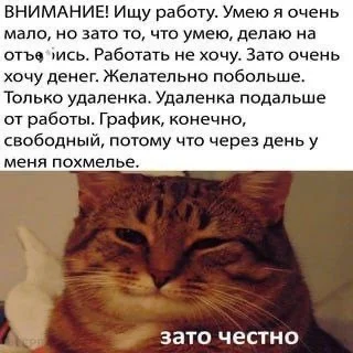 How I look for a job - Psychology, Psychological help, Психолог, Work, Memes, Humor, Strange humor, Sad humor, cat, Telegram (link)