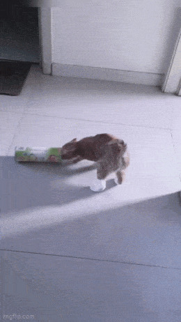   , , , 