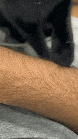   , , , 