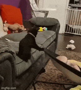   , , , 