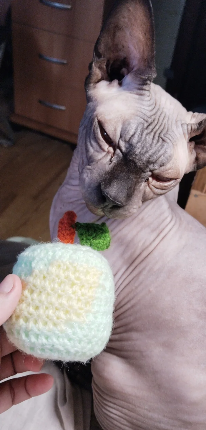 What is this? - My, cat, Sphinx, Don Sphynx, Crochet, Amigurumi