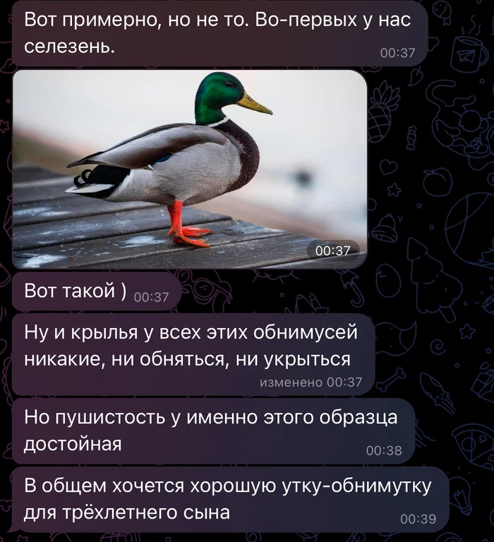 Hugging drake))) or hugging duck - My, Drake, Duck, Soft toy, With your own hands, Handmade, Longpost