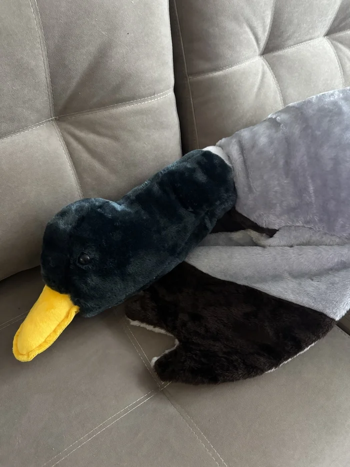 Hugging drake))) or hugging duck - My, Drake, Duck, Soft toy, With your own hands, Handmade, Longpost