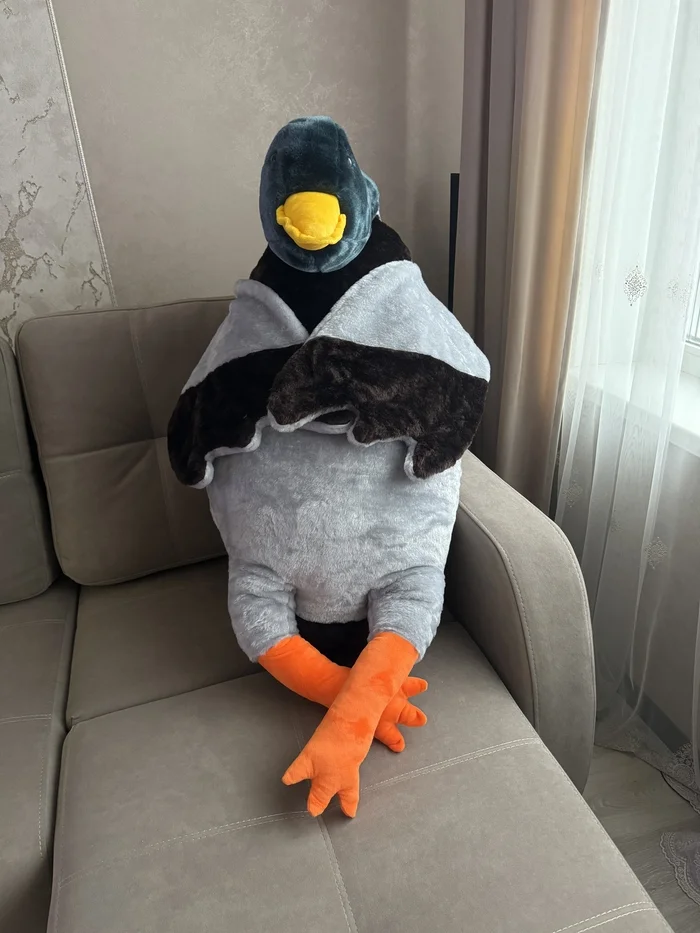 Hugging drake))) or hugging duck - My, Drake, Duck, Soft toy, With your own hands, Handmade, Longpost