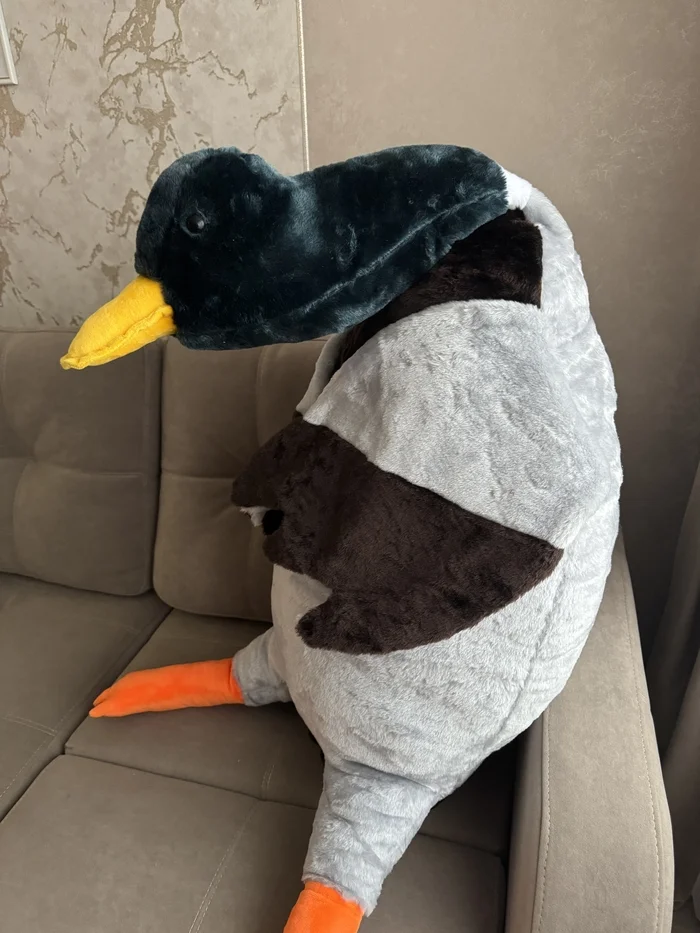 Hugging drake))) or hugging duck - My, Drake, Duck, Soft toy, With your own hands, Handmade, Longpost