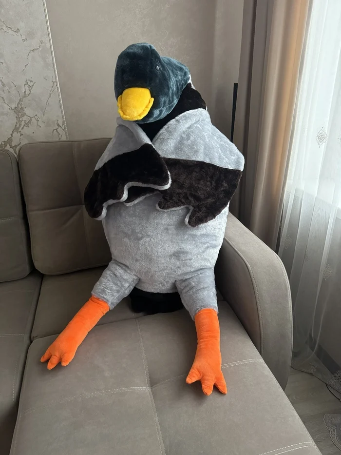 Hugging drake))) or hugging duck - My, Drake, Duck, Soft toy, With your own hands, Handmade, Longpost