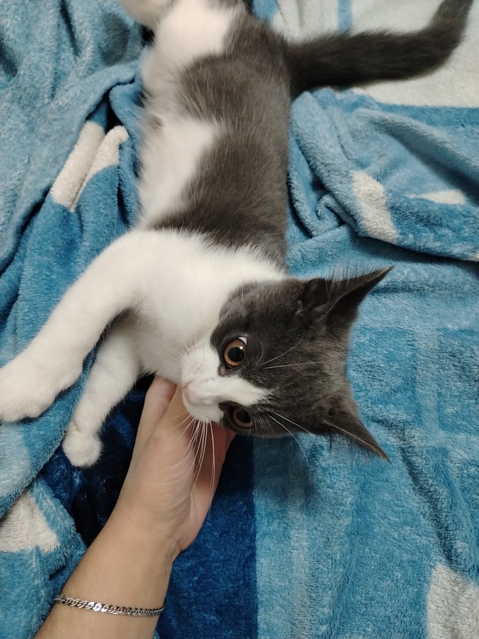 �� ����� ���� � �� �����