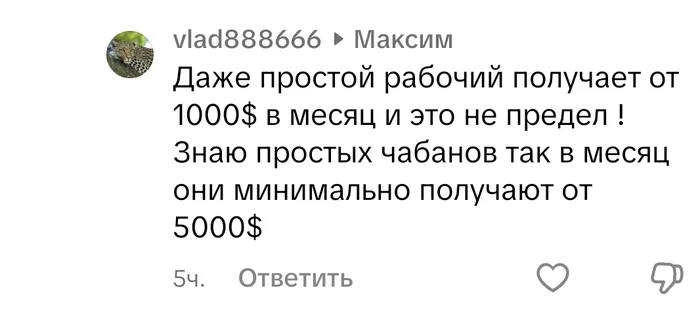 Salary in Kazakhstan - My, Kazakhs, Salary, Comments, Screenshot, Tiktok