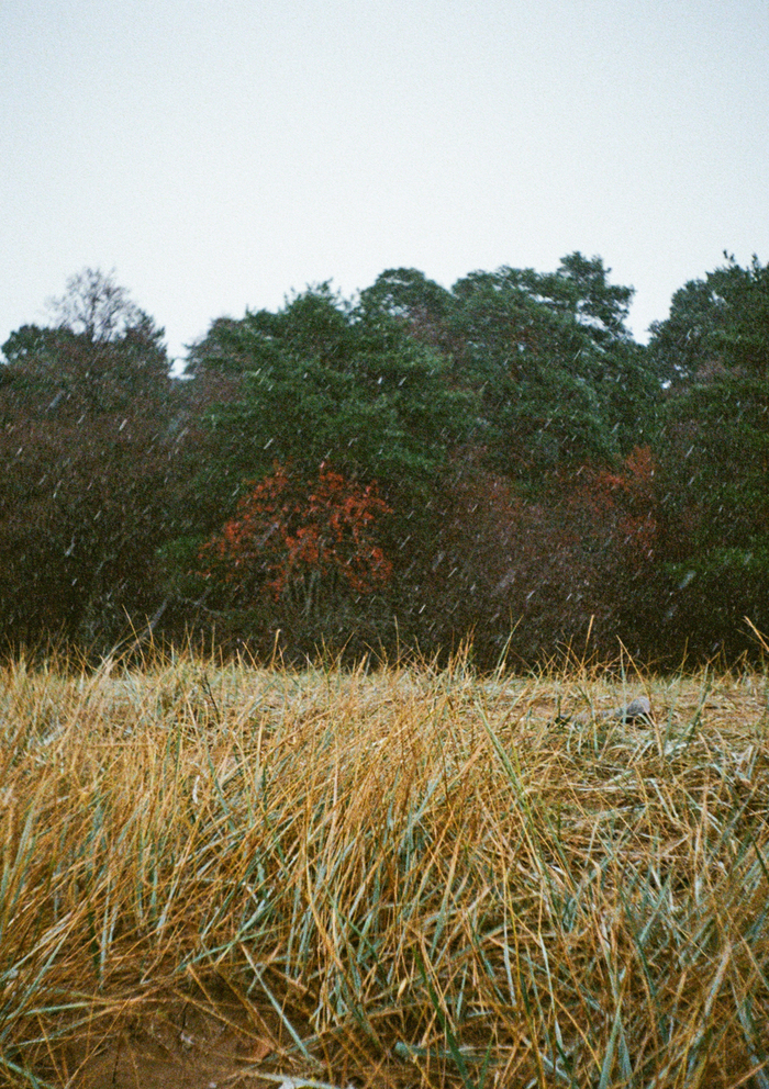 ���� �������