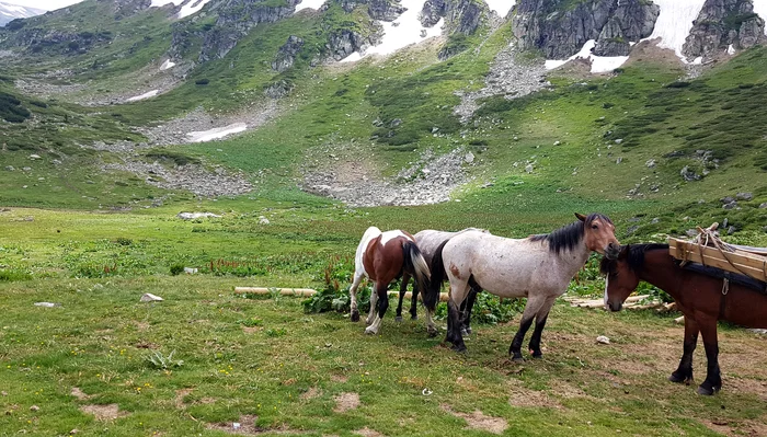 The Seven Rila Lakes - My, Mountain tourism, The mountains, Lake, Longpost