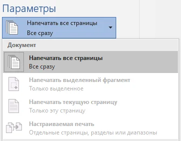 Word - Print settings are blocked in the document - Microsoft Word, Text document, Protection, Settings, Question, Ask Peekaboo