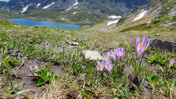 The Seven Rila Lakes - My, Mountain tourism, The mountains, Lake, Longpost
