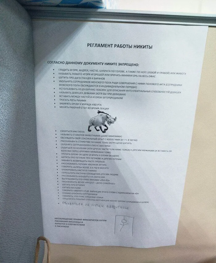 In one of the offices, a detailed regulation was found for an employee named Nikita - Colleagues, Labor Relations, Career, Profession, Nikita