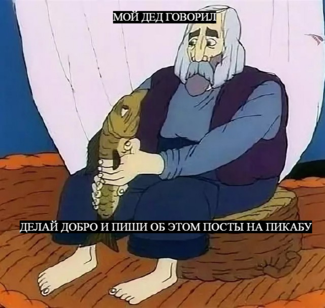 � ����� ������