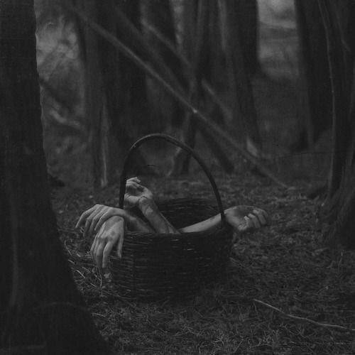 �����������-2. ����� XIV