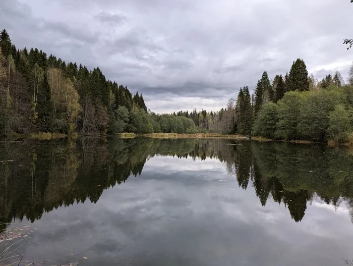 Perm Krai, September 2024 - My, Mobile photography, Nature, Beautiful view, Pond