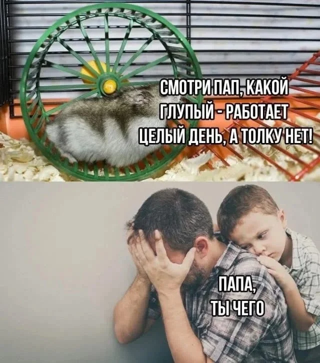 Pain - Picture with text, Sad humor, Pain, Father, Hamster, Repeat