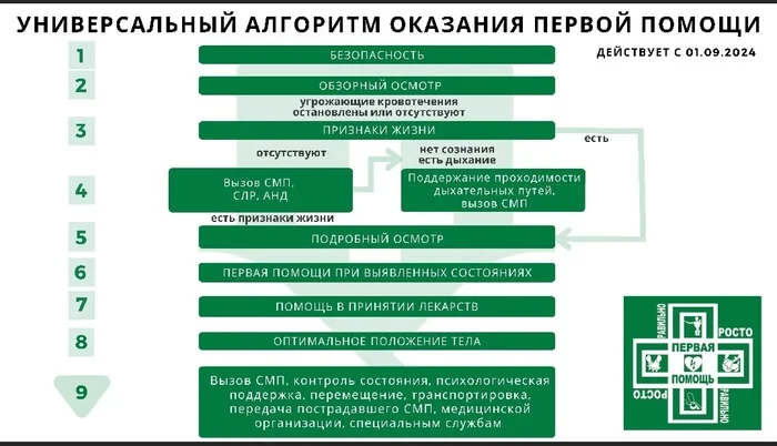 В первой помощи теперь так) - Моё, Первая помощь, Спасение, Волна постов, Общество, Помощь, Непрямой массаж сердца