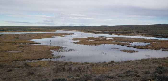 �������