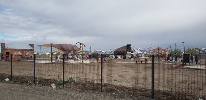 ���� ����������