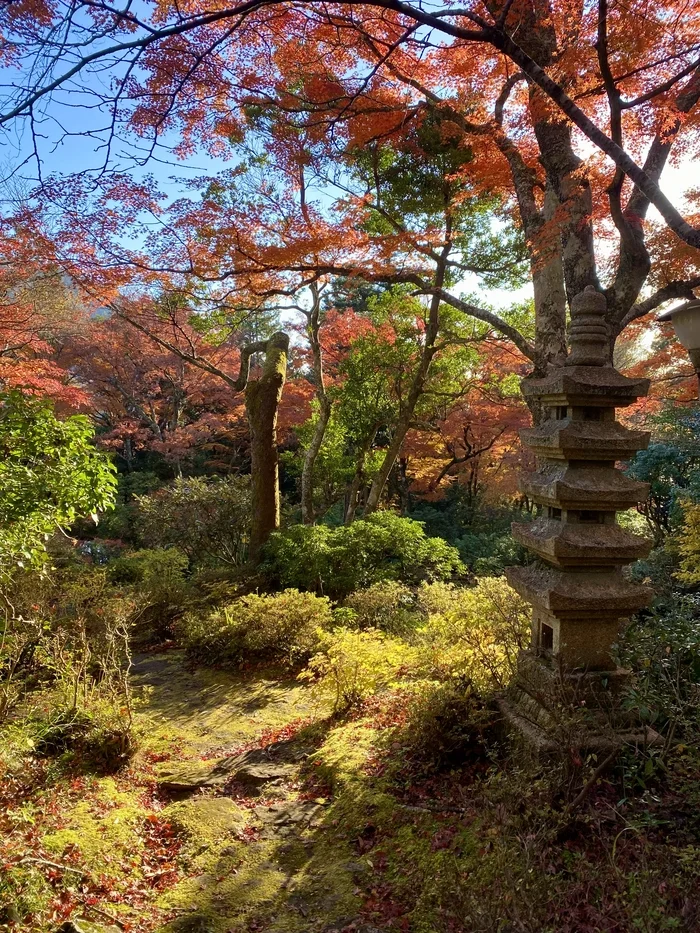 Japanese Autumn - My, Japan, Travels, Autumn, Longpost, Nature, The photo