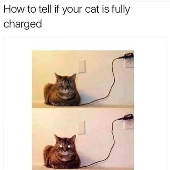      ,   , 