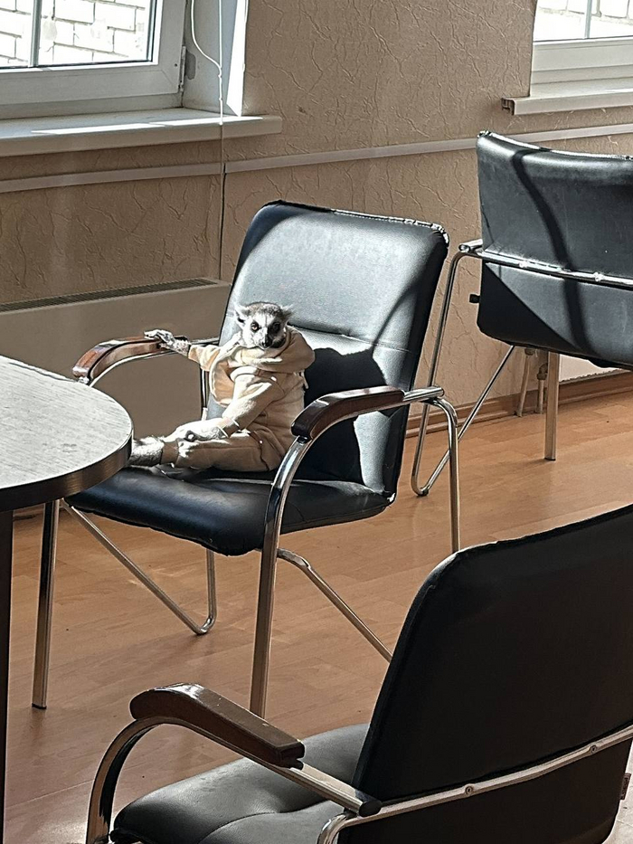 Офисный работник