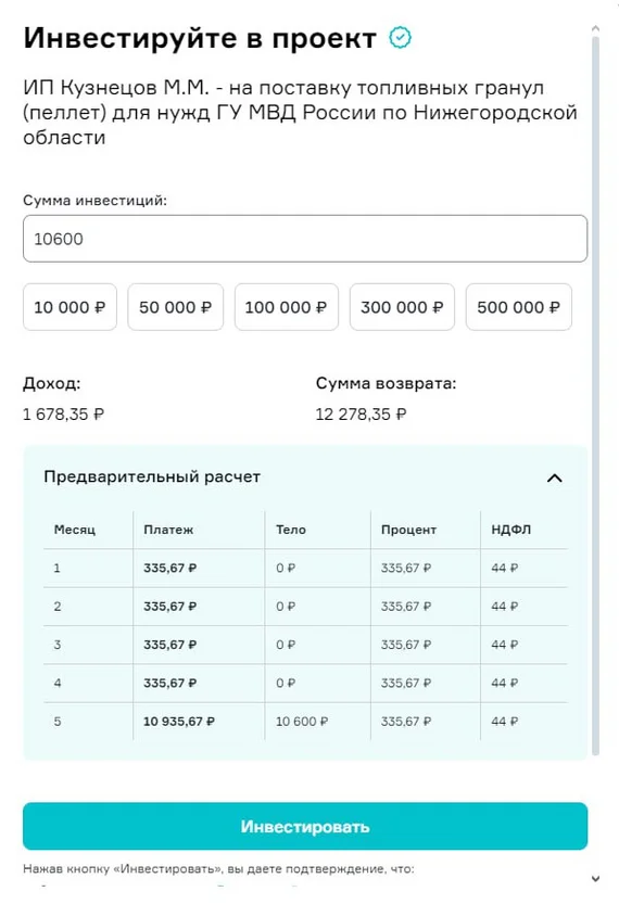 My first investment experience with BizMall: results and new steps - My, Investments, Ruble, Dividend, Economy