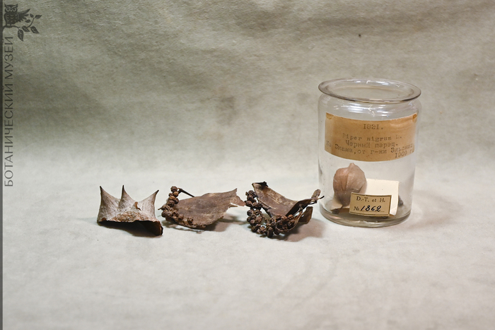 &nbsp;   , 1909 . &nbsp;    .