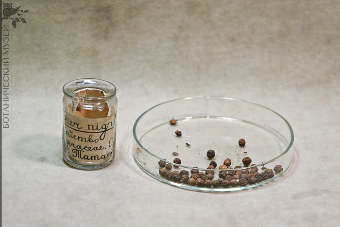  ,   ..  1857 .     .