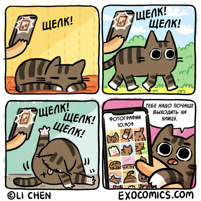  Exocomics,  , , , ,  