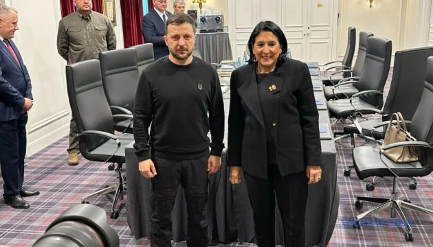 Just the president of Ukraine and the president of Georgia - Vladimir Zelensky, Georgia, Politics, Salome Zurabishvili