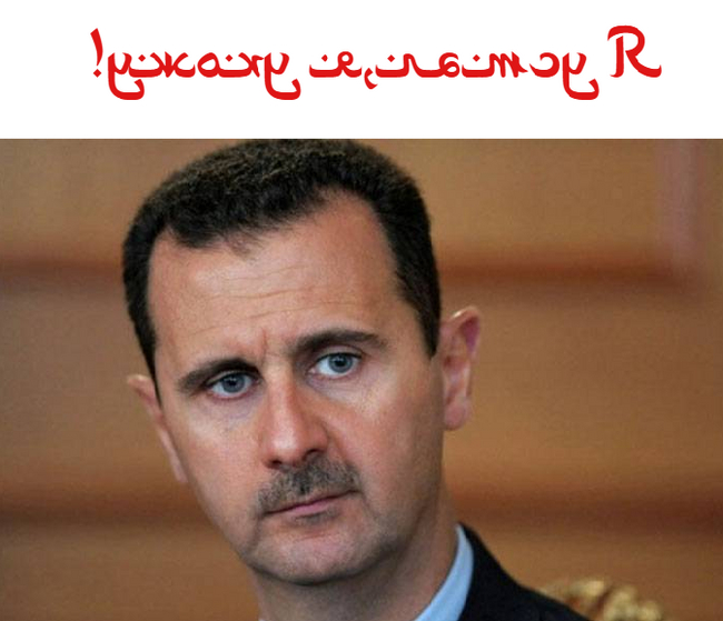 I'm tired, I'm a fly!! - Bashar al-Assad, Syria, Fatigue, Politics, Russia