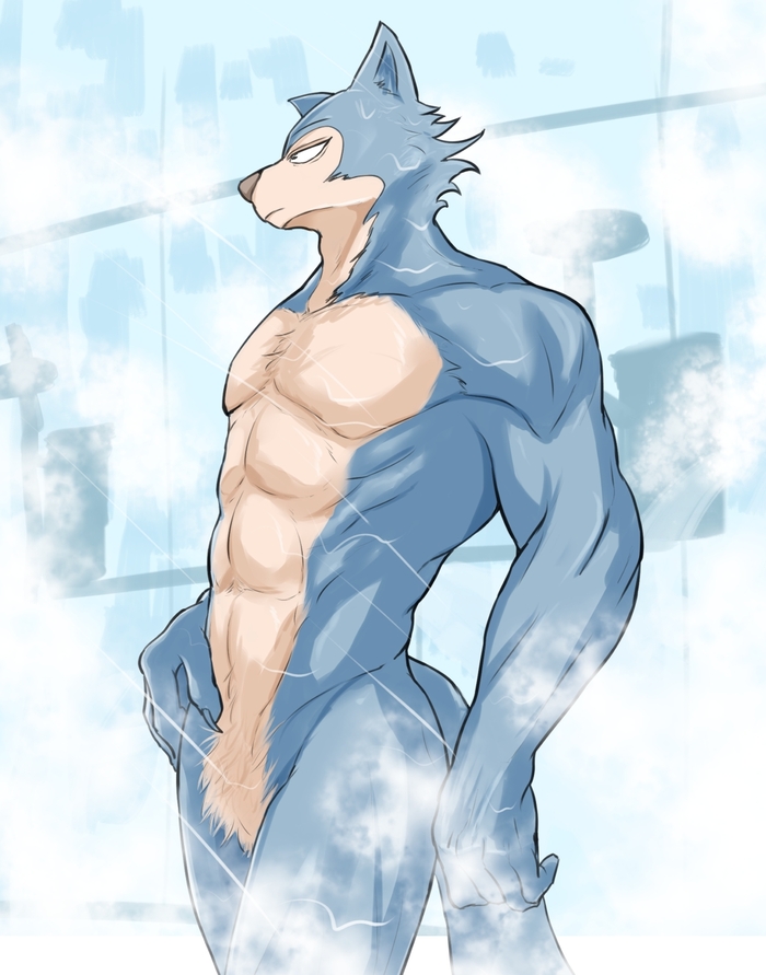   -      , Legoshi, Beastars, , Furry male, Furry Art