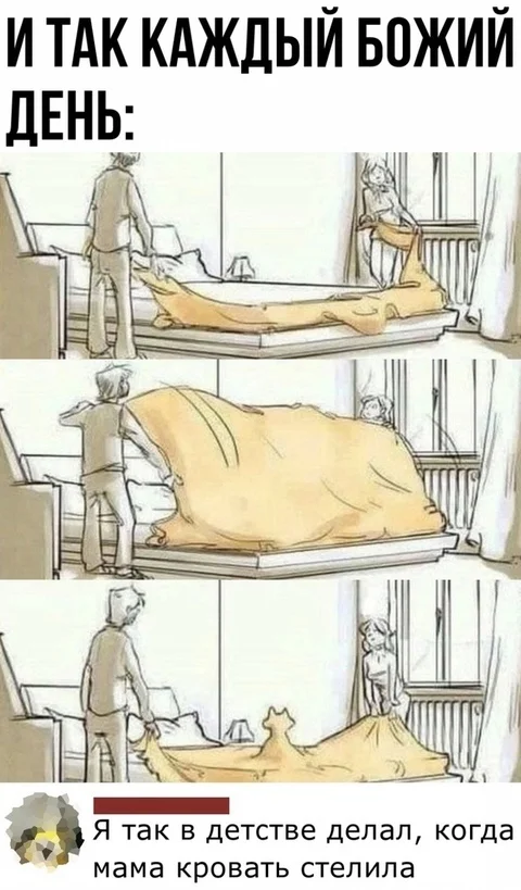 Every - Picture with text, Humor, Comics, Bed, cat, Hardened, Linens, Comments