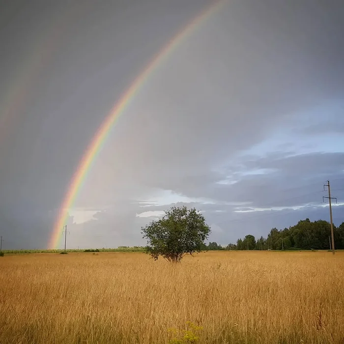 Rainbow - Rainbow, The photo