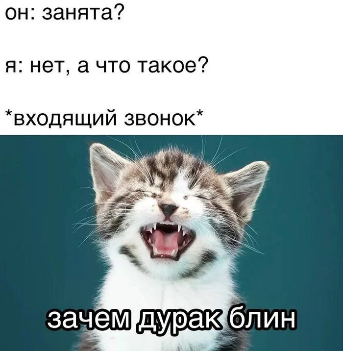 Reaction - cat, Memes, Humor, Picture with text, Психолог, Psychology, Expectation and reality, Age, Sad humor, Dialog, Telephone, Vital, Irony, Laughter (reaction), Kittens, Strange humor