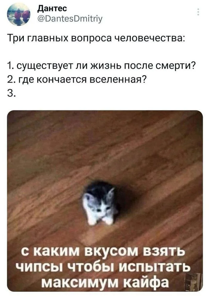 Main questions - Picture with text, Humor, Memes, cat, Психолог, Psychology, Age, Expectation and reality, Sad humor, Psychotherapy, Strange humor, Pleasure, Joy, Vital, Irony, Crisps, Food, Suddenly, Kittens, Telegram (link), Dantes - Twitter, Screenshot, Twitter, Question, Hardened