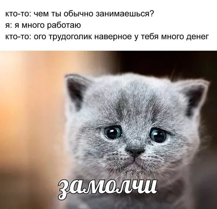 If only it worked like that - Picture with text, Humor, Memes, cat, Work, Sad humor, Expectation and reality, Age, Hardened, Strange humor, Психолог, Psychology, Social Psychology, Dialog, Vital, Irony, Kittens, Telegram (link)