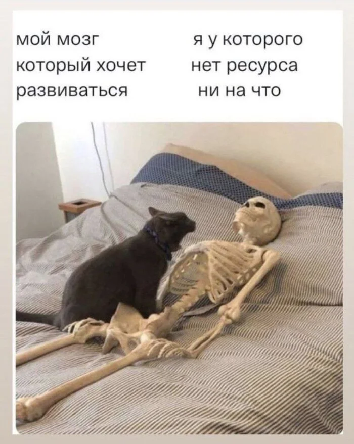 The problem of self-development - Picture with text, Humor, Memes, cat, Sad humor, Expectation and reality, Age, Психолог, Psychology, Vital, Strange humor, Self-development, Brain, Telegram (link)